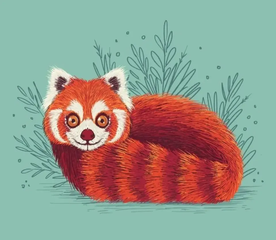 Красная панда рисунок для детей
