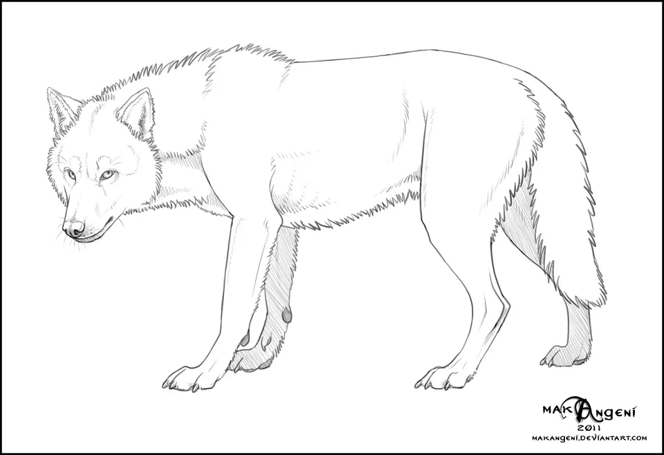Рисунок волка карандашом для детей
