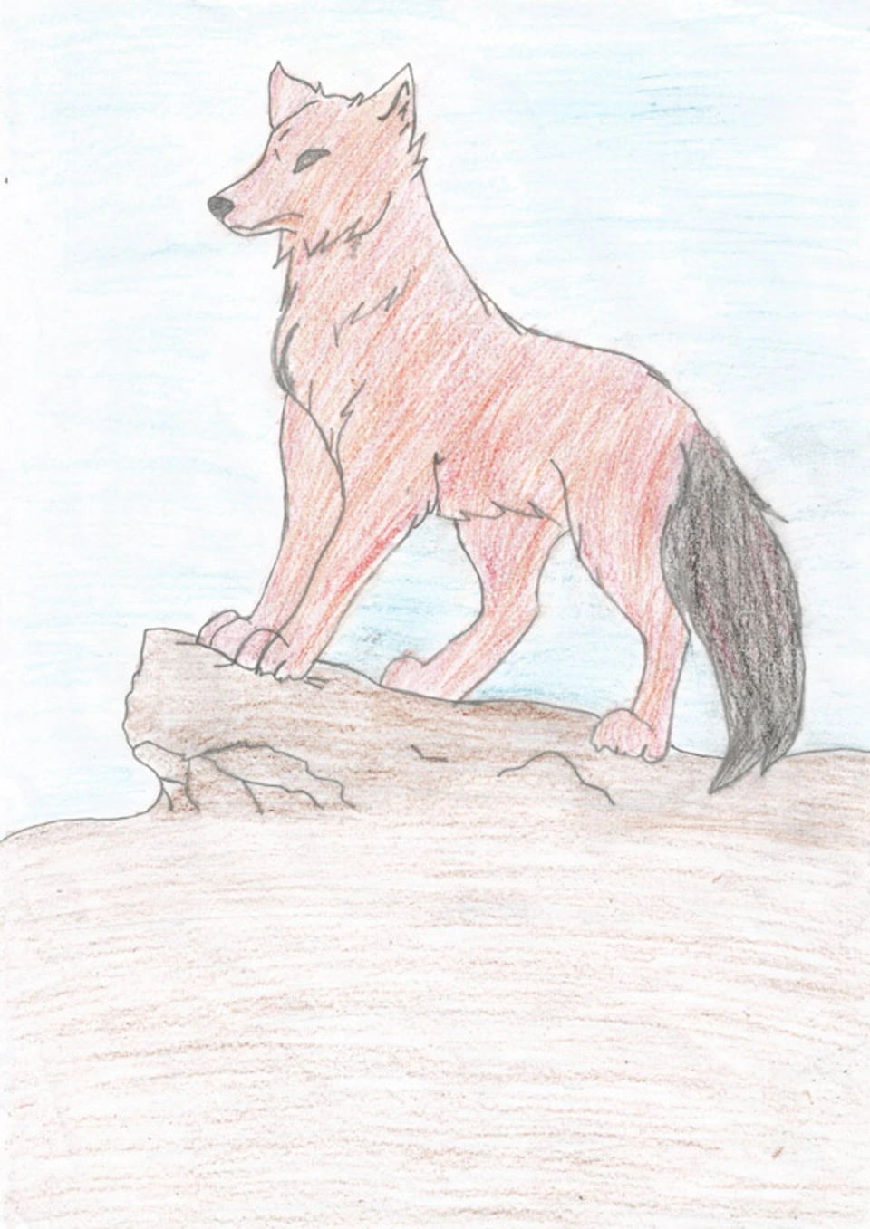 Волк лёгкий рисунок