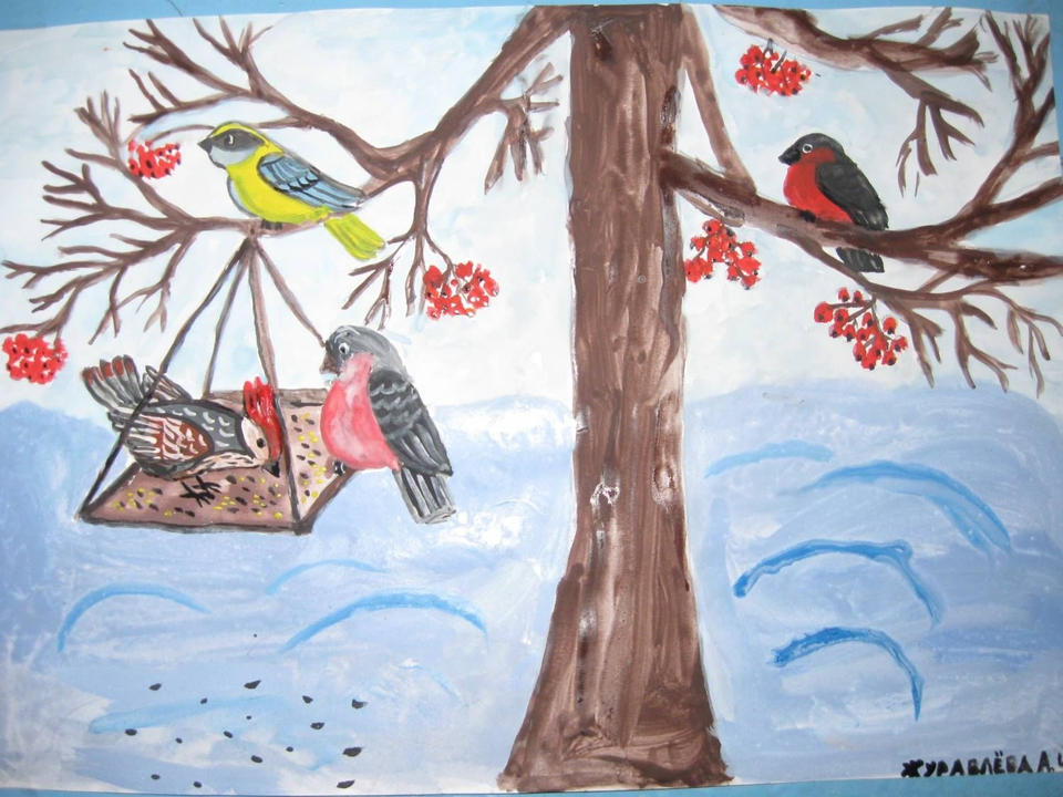 Рисунок на тему помоги зимующим птицам