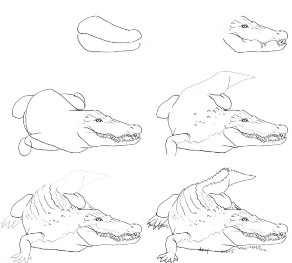 Рисунки крокодилы карандашом 3д для начинающих