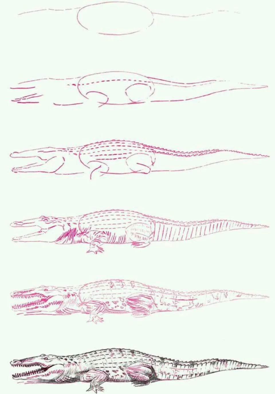 Крокодил рисунок карандашом мило