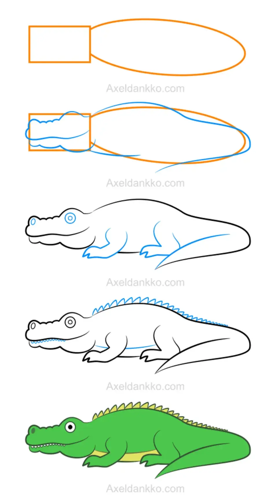 Крокодил карандашом для начинающих