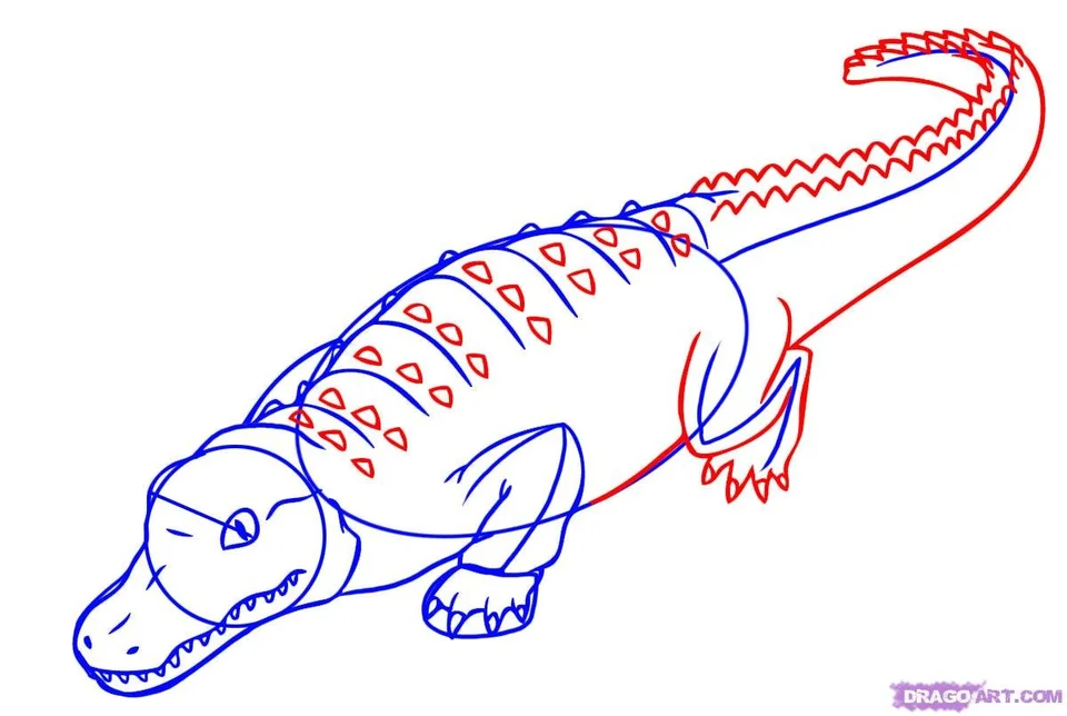 Поэтапное рисование аллигатора