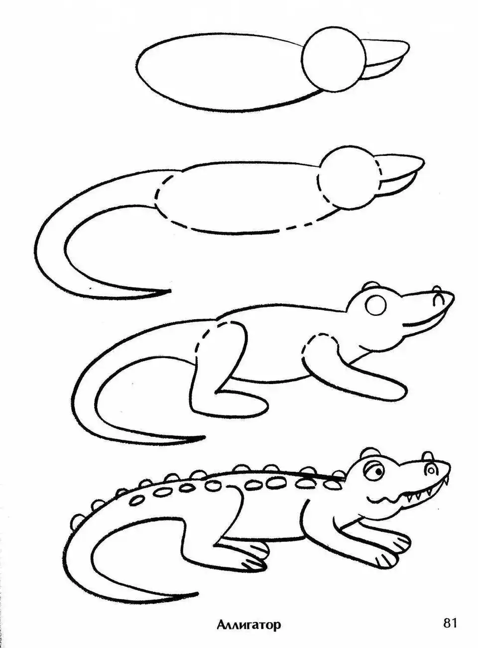 Рисуем крокодила поэтапно для детей
