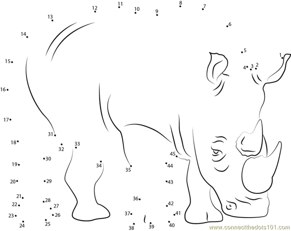 Rhino worksheets