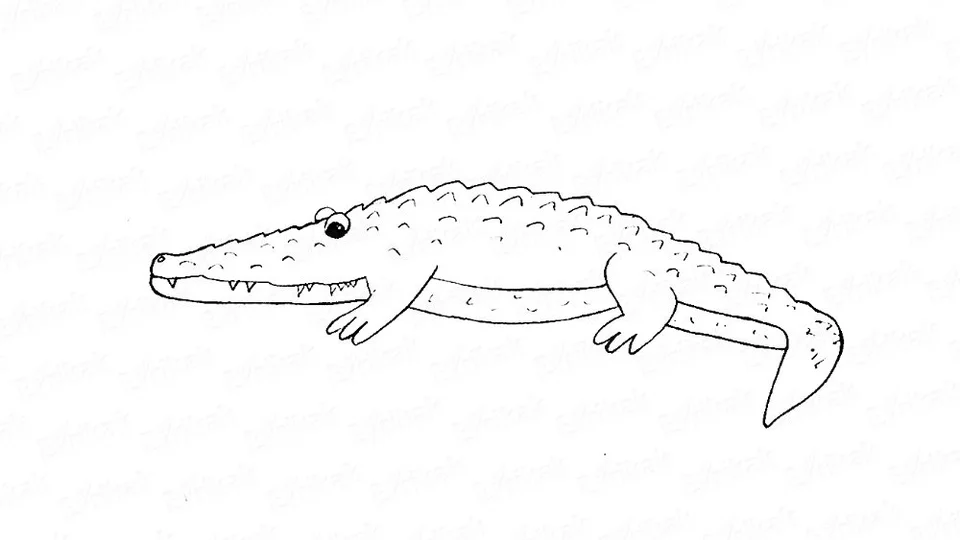 Крокодил рисунок детский