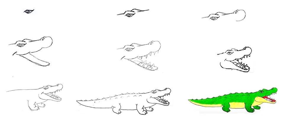Крокодил рисунок детский