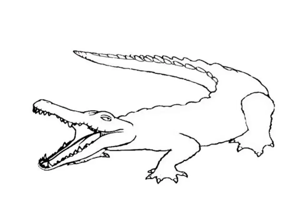 Рисунок крокодила для детей