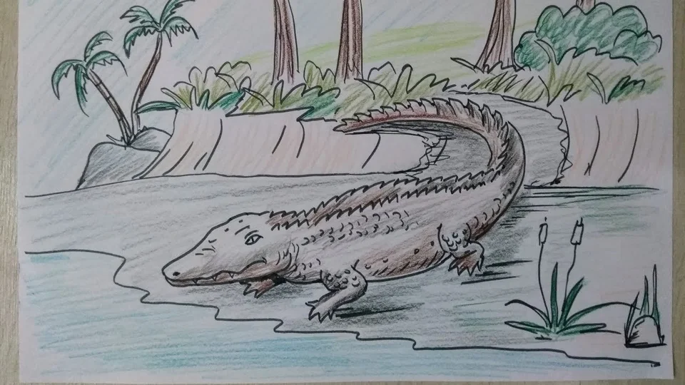 Детские рисунки крокодила