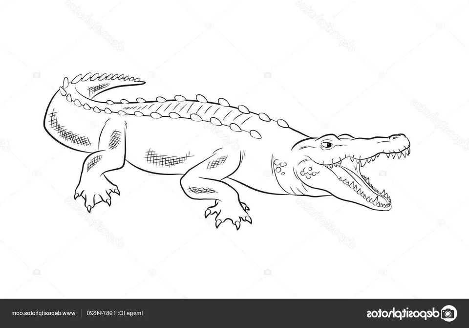 Рисуем крокодила