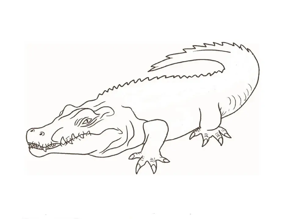 Рисунок крокодила