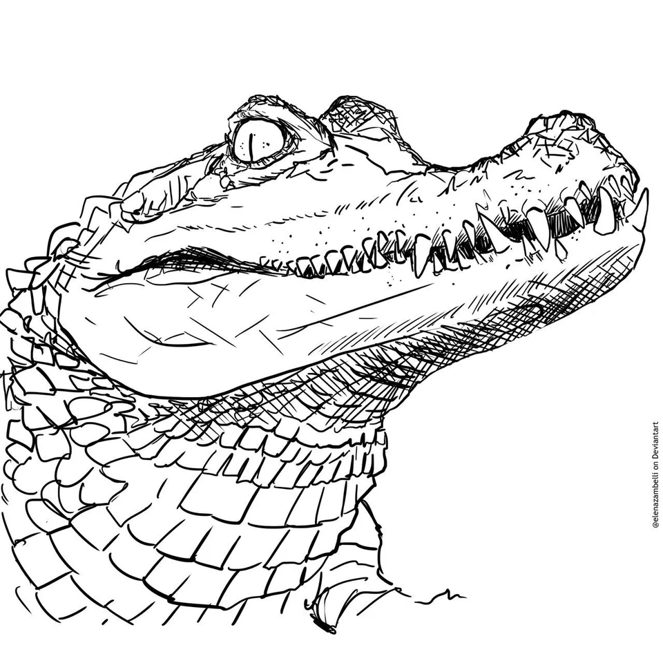 Крокодил черно белый рисунок