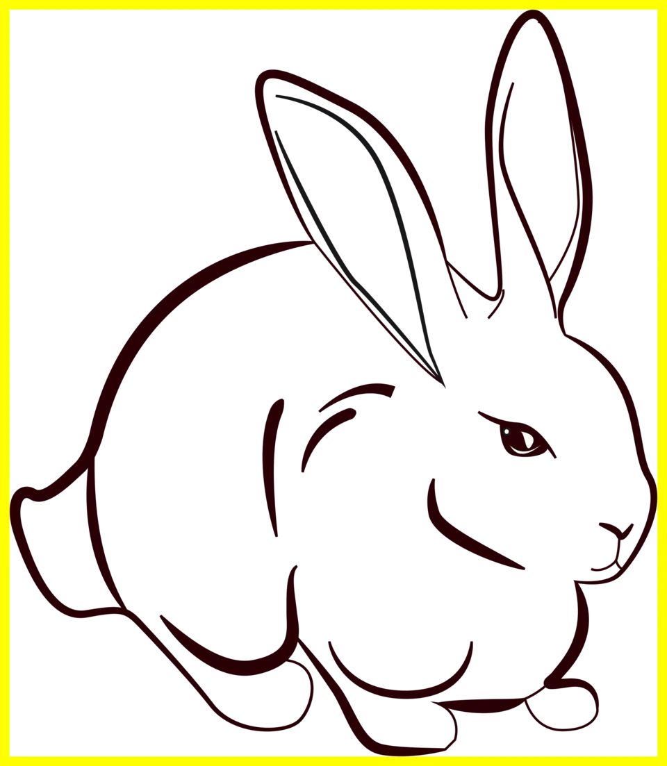 Раскраска для детей кролик