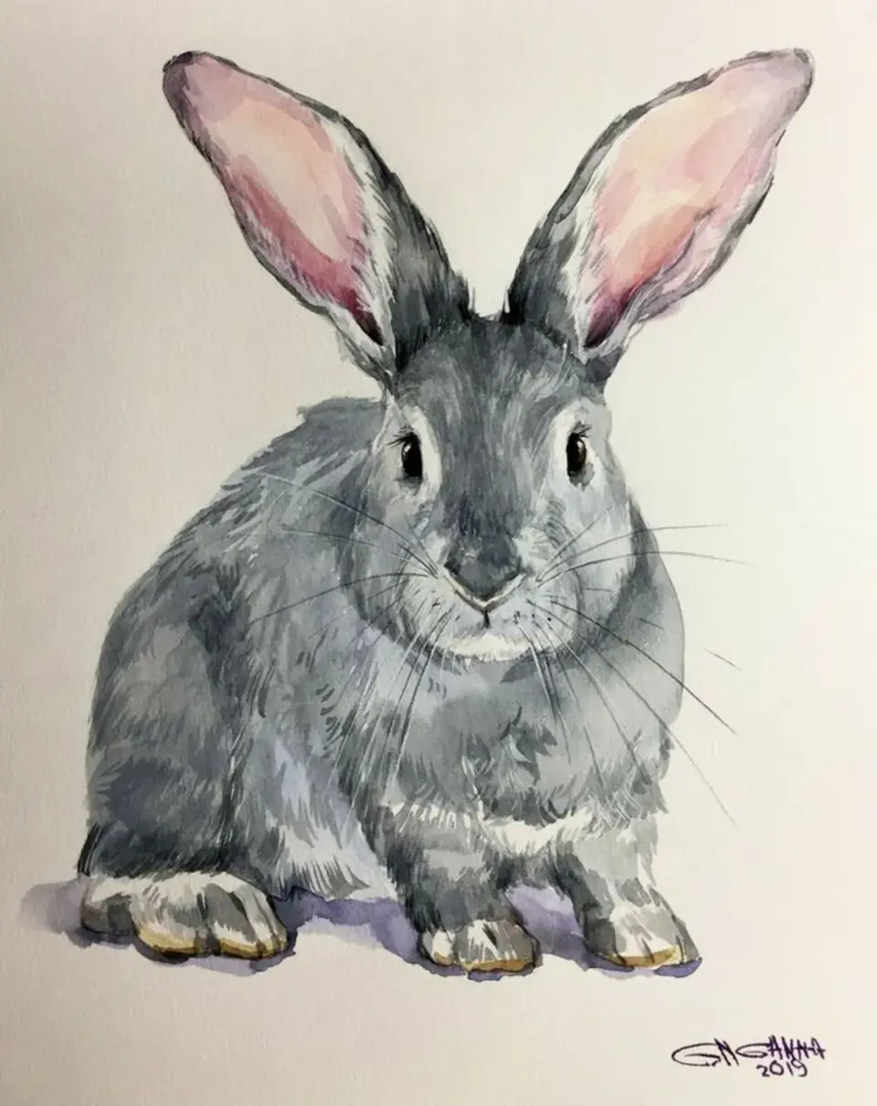 Кролик рисунок акварелью