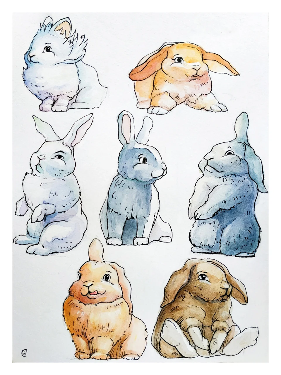 Кролики иллюстрации