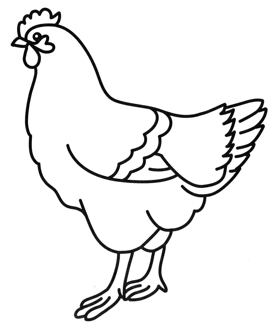 Рисунок курицы для детей