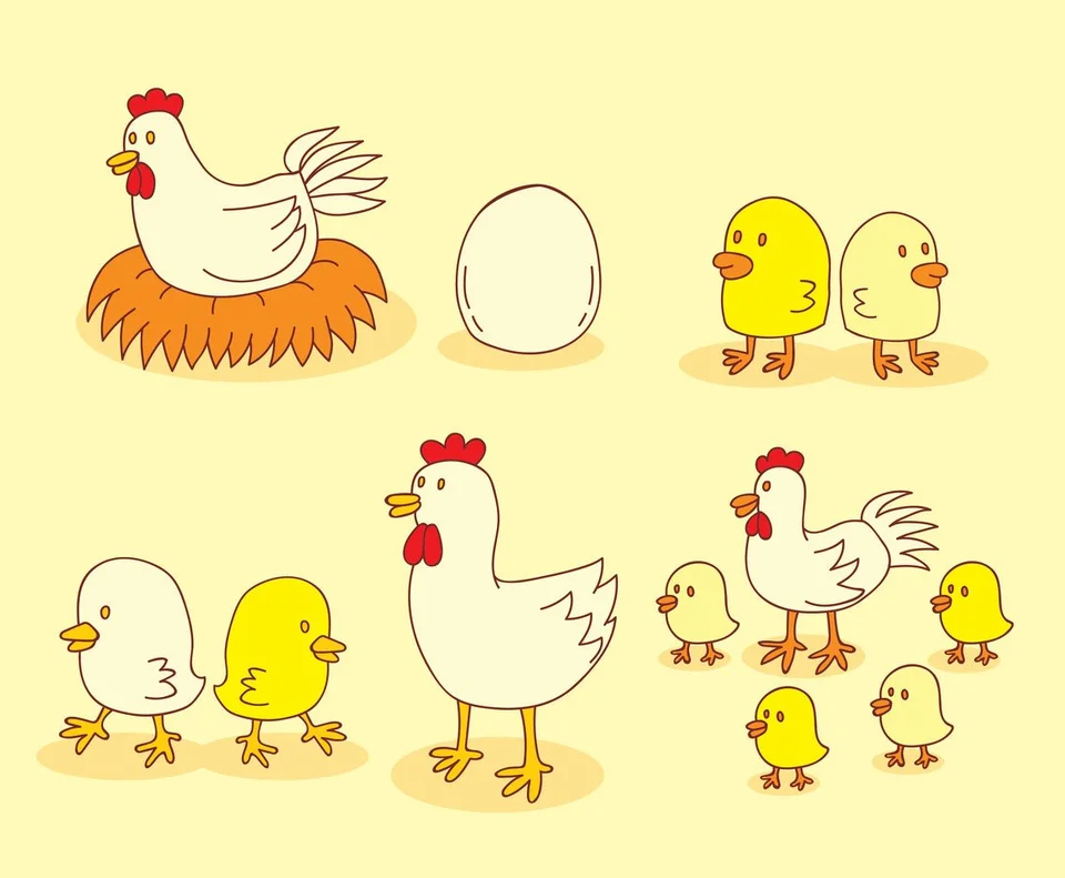 Рисунок курица с цыплятами