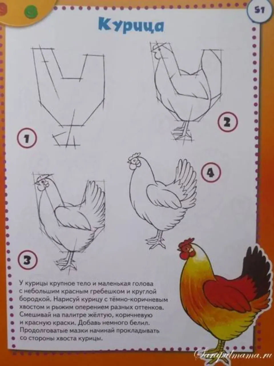 Курица поэтапное рисование