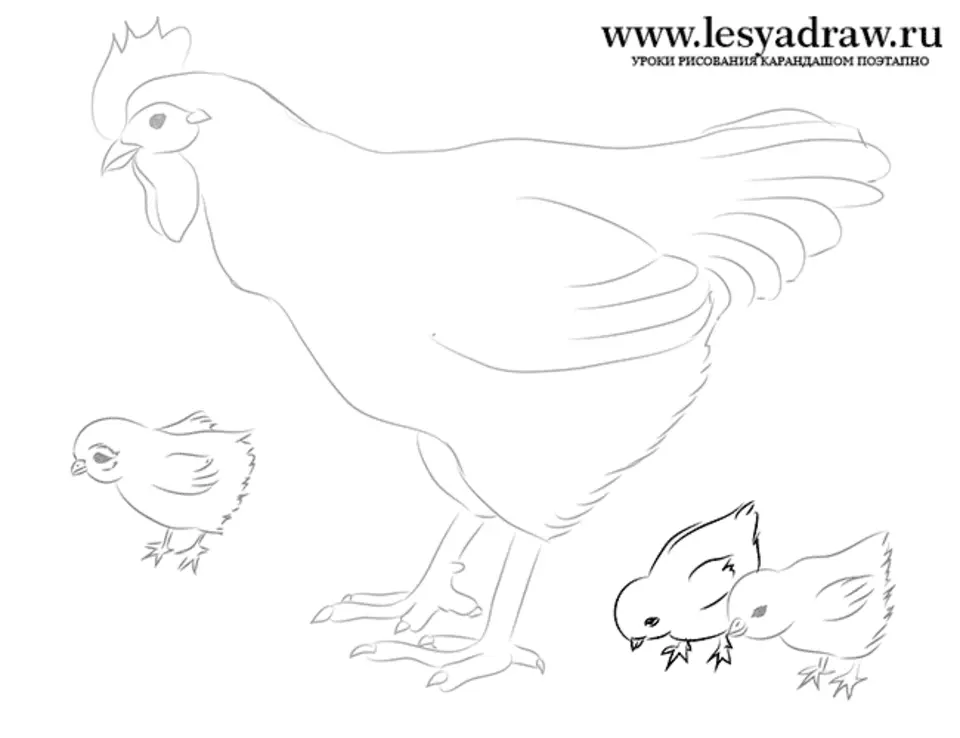 Рисунок курицы