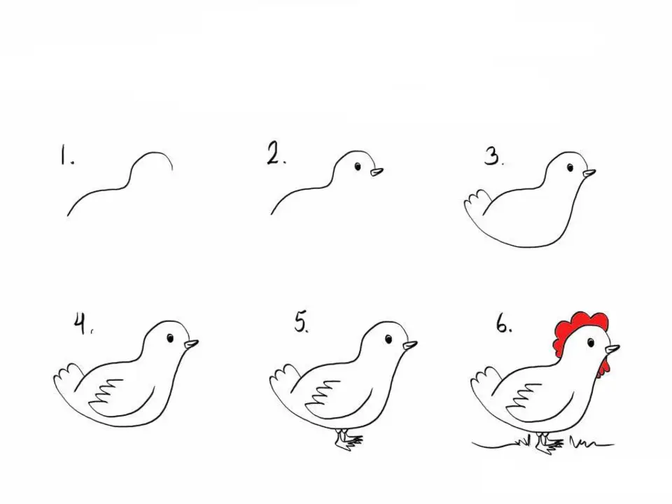 Рисуем курицу поэтапно для детей