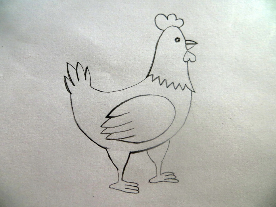 Рисунок курицы карандашом