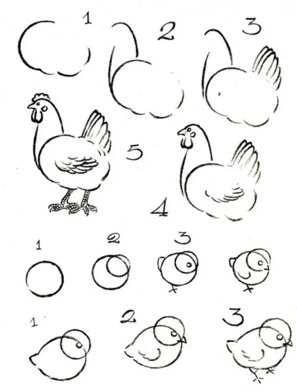 Рисование домашние птицы