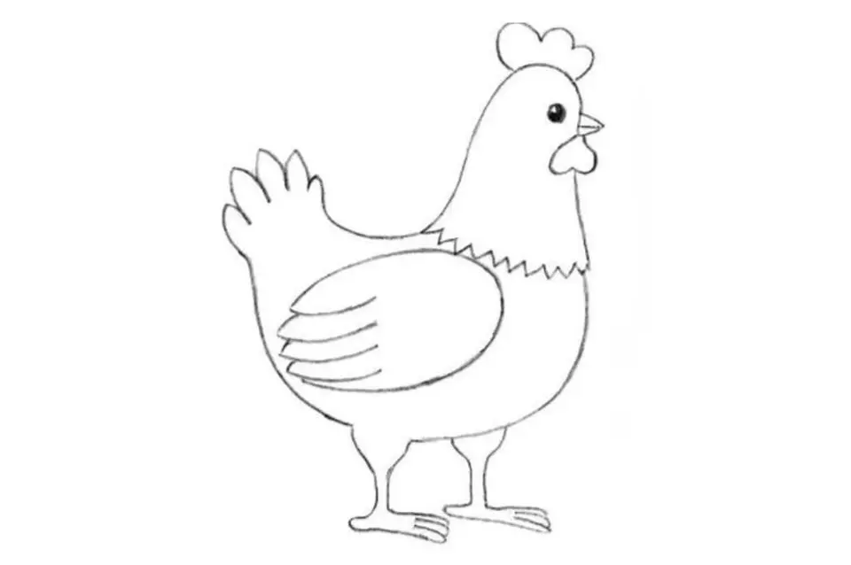 Курица рисунок карандашом для детей