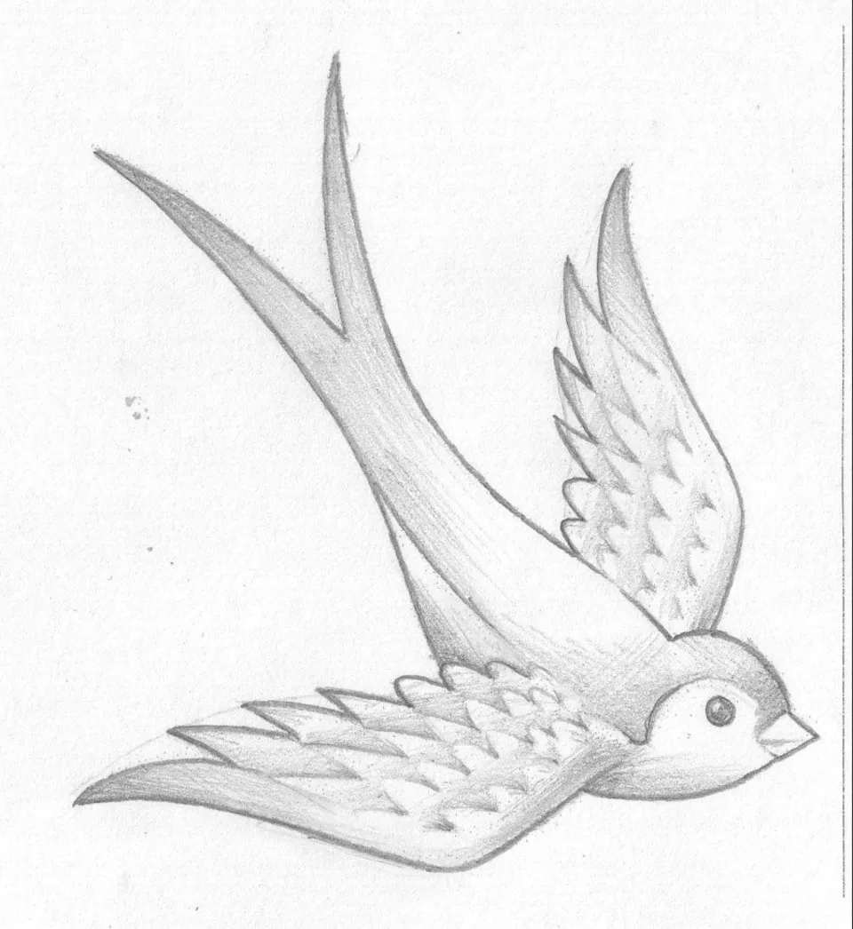 Птица рисунок карандашом легко
