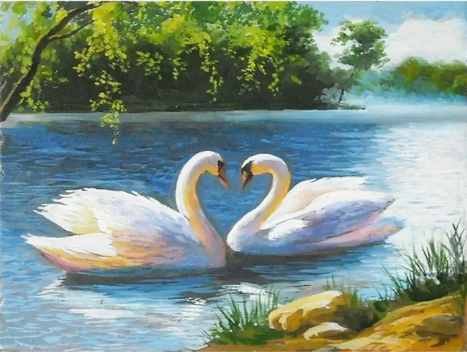 Лебеди на озере рисунок