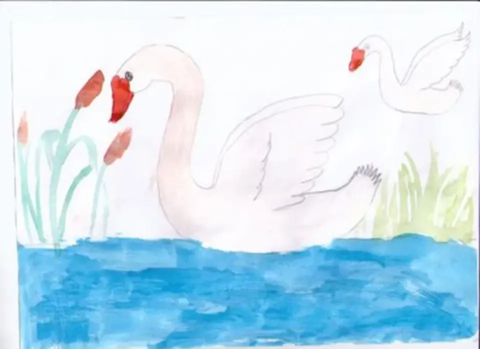 Рисунок лебеди на озере