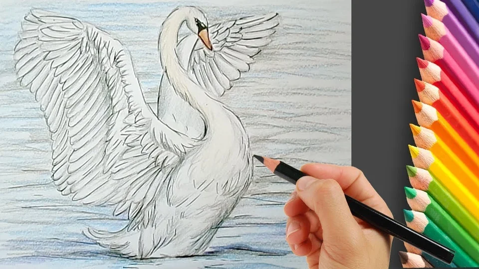 Лебедь рисунок красивый