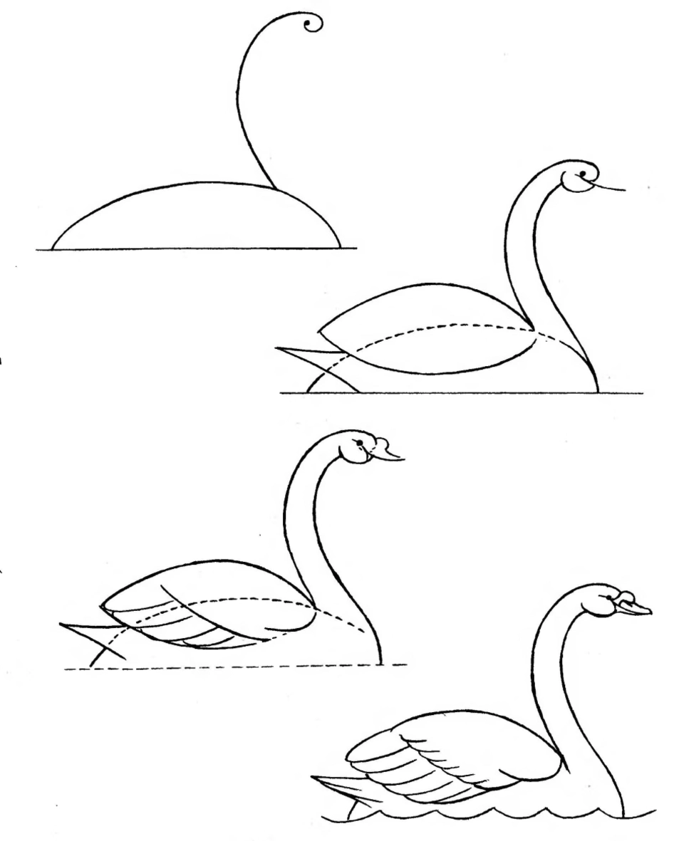 Рисунок лебедя