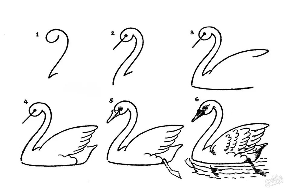 Лебедь рисунок