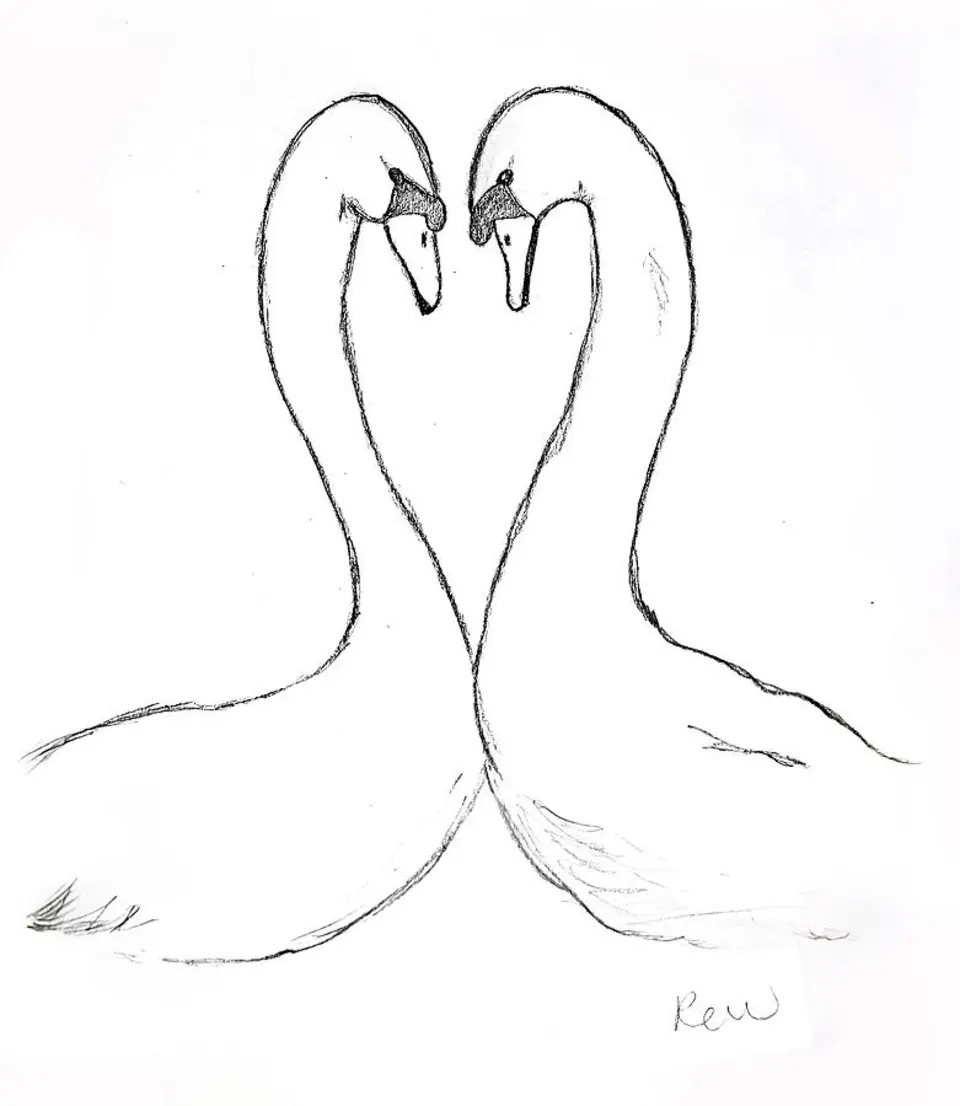 Рисование лебедя