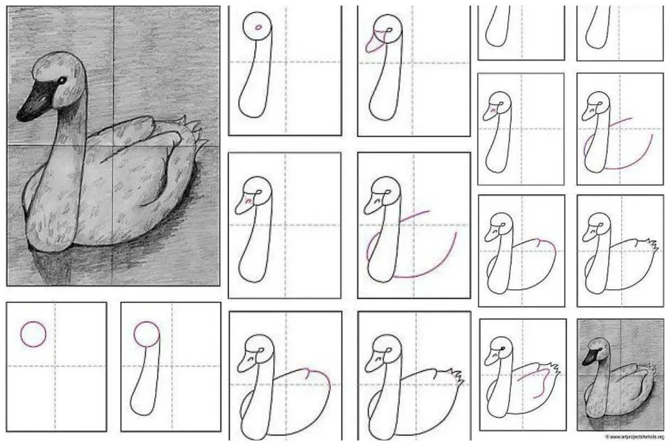 Учимся рисовать карандашом лебедя