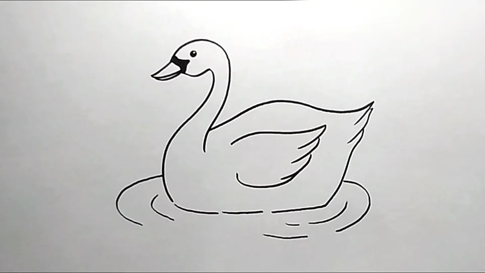 Рисунок лебедя