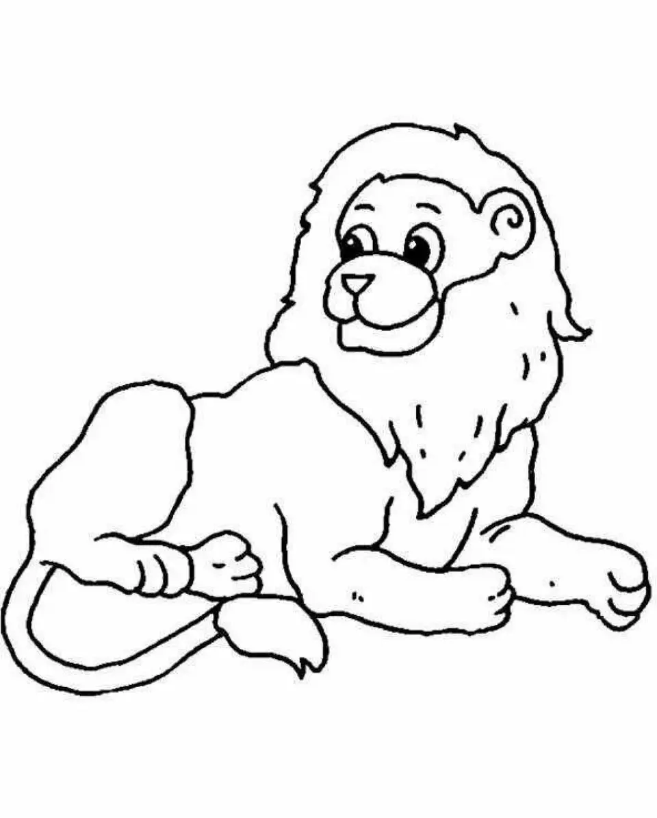 Раскраски животных лев