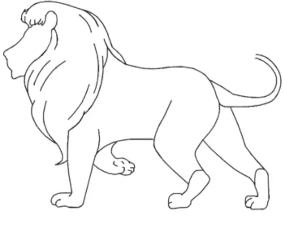 Рисунок льва карандашом