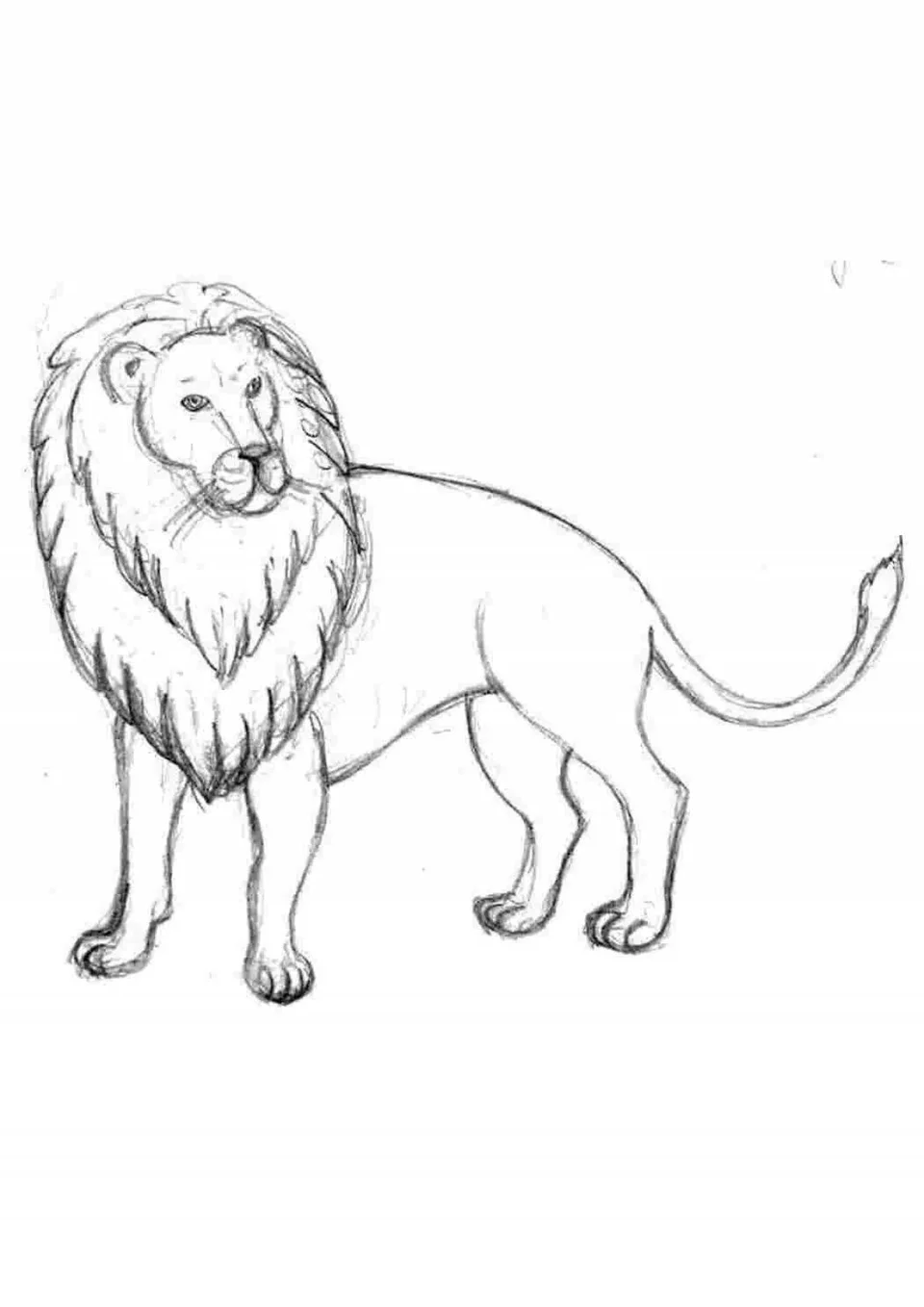 Простой рисунок льва