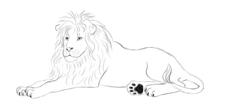 Рисунки льва карандашом