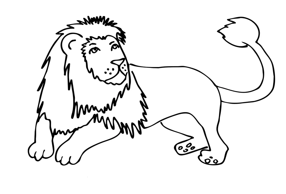 Лев и собачка толстой раскраска