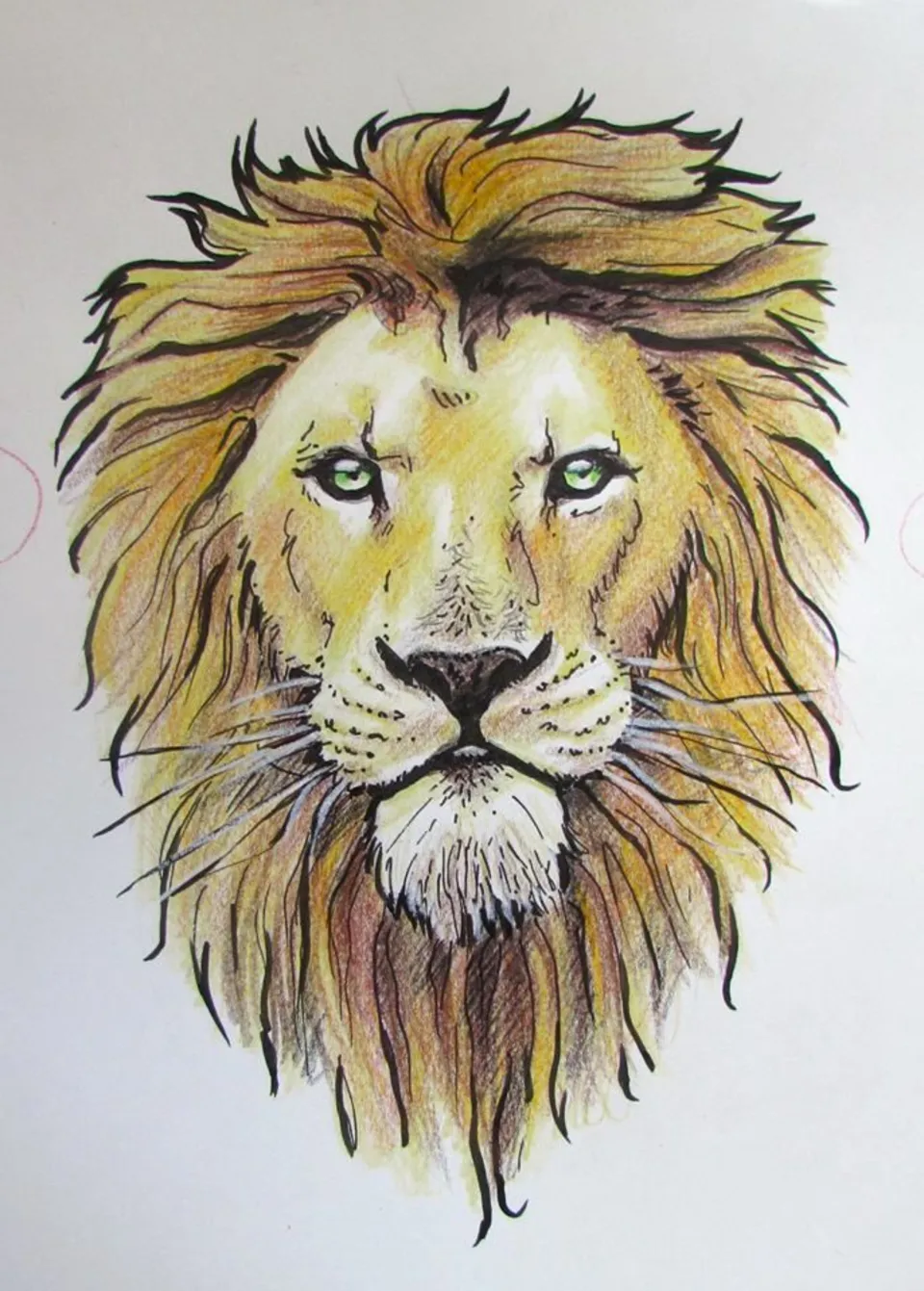 Морда льва рисунок