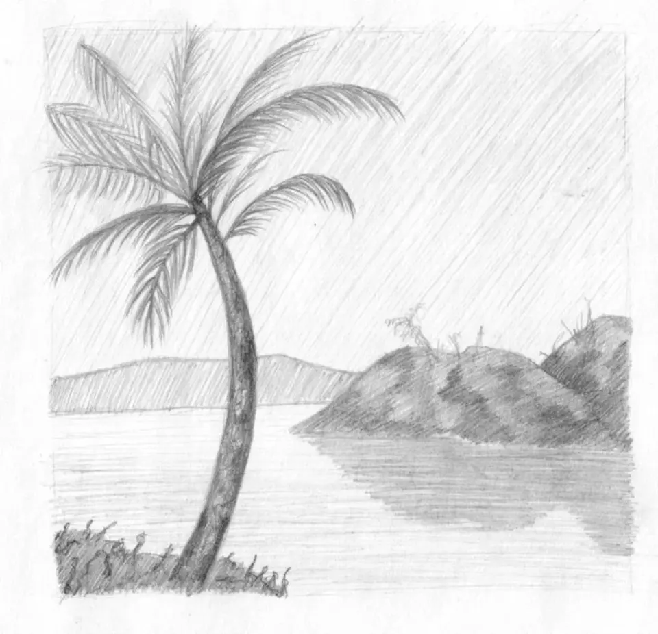 Пейзаж пальмы карандашом