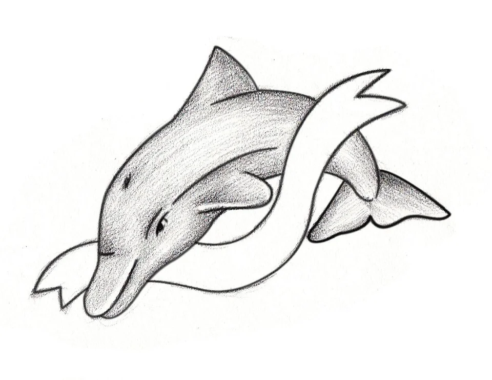 Дельфин для срисовки