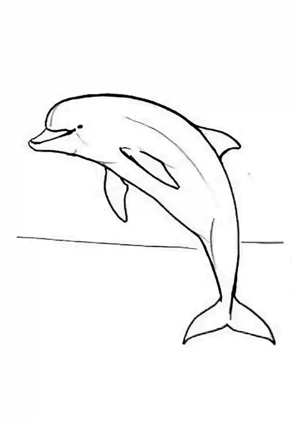 Рисунок карандашом дельфин