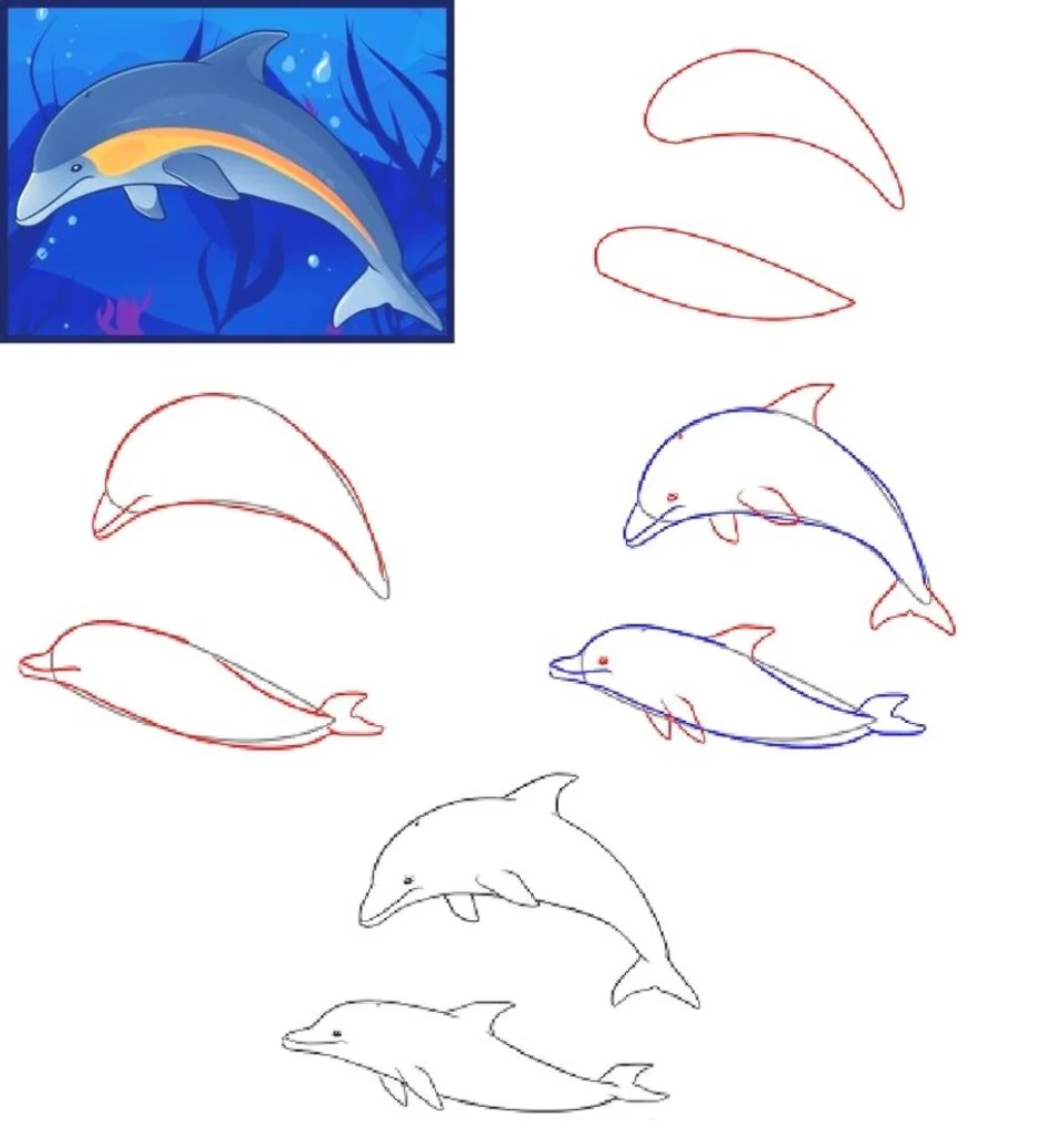 Дельфин поэтапное рисование