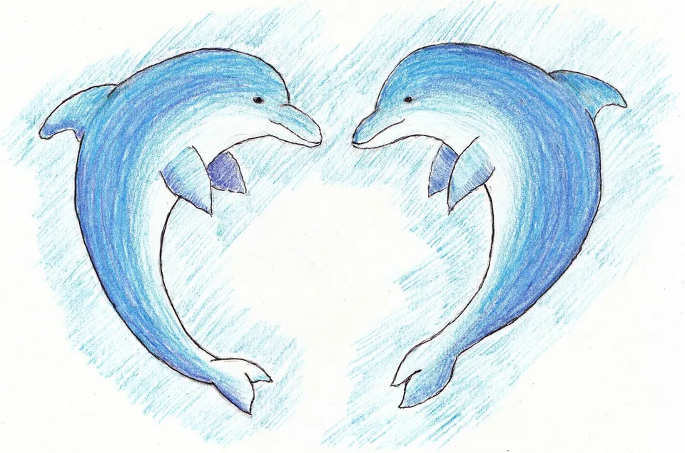 Дельфин карандашом рисунок