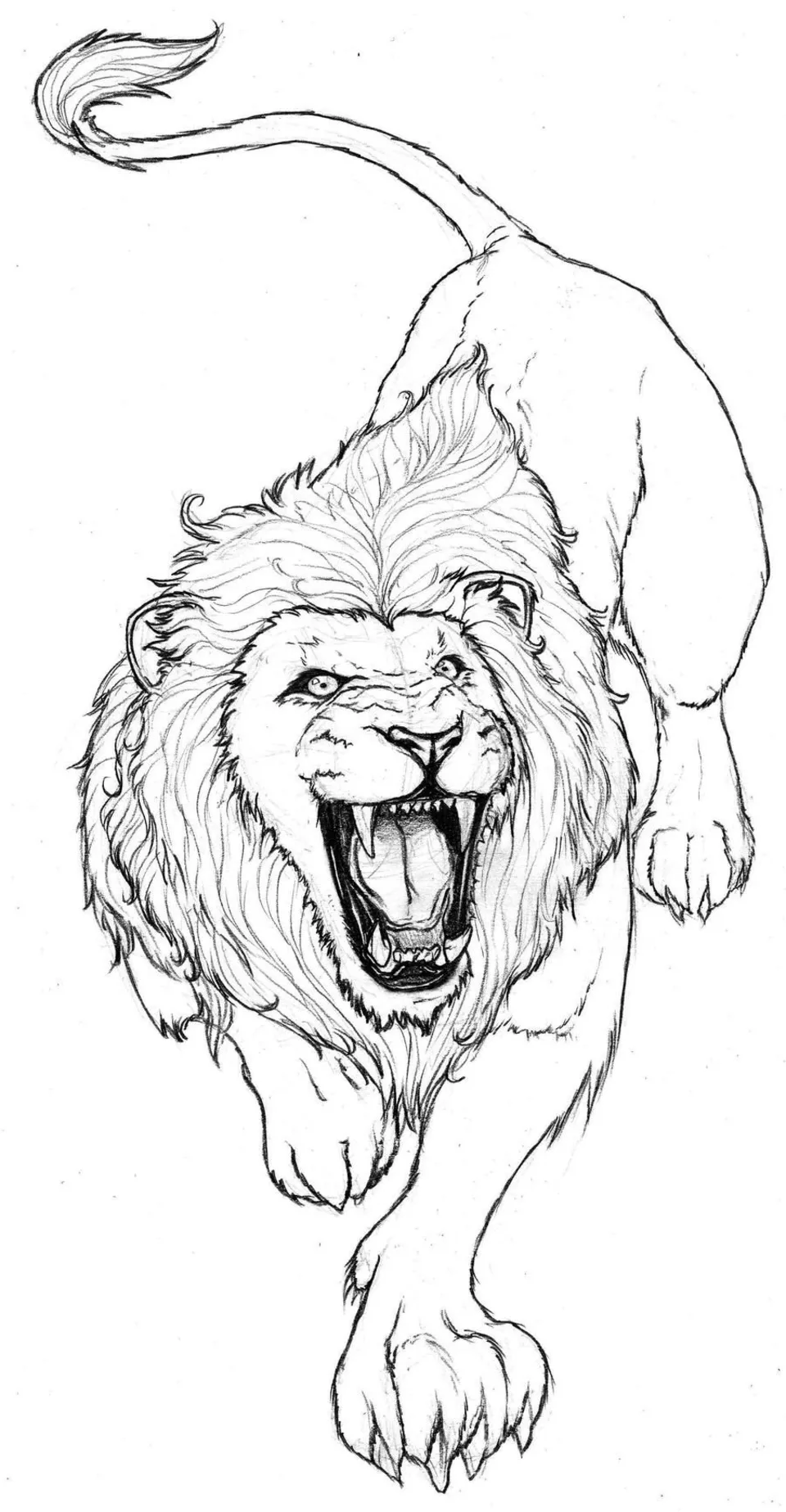 Эскиз льва