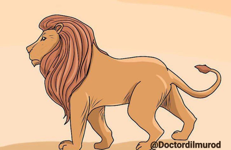 Рисовать льва